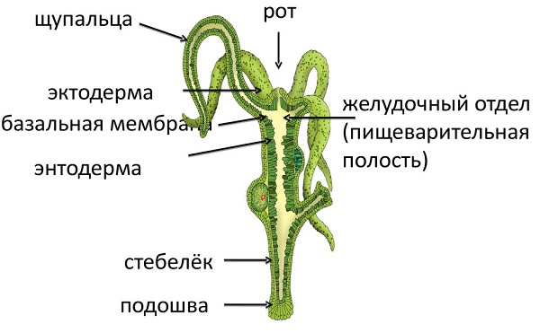 Кракен ссылка работает